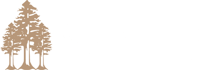 Dr Vincent Leung in Redwood City California